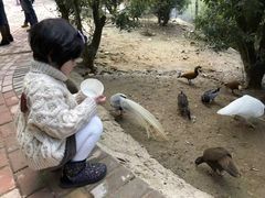 -泉州海丝野生动物世界