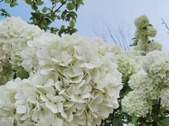 -大龙山(地铁站)