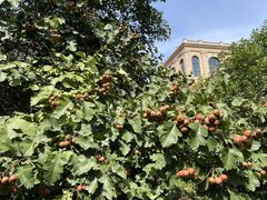 -郑州银基黄帝宫御温泉