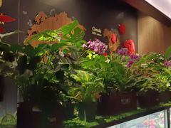 -西堤牛排(龙德广场店)