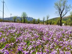 -十渡东湖港风景区