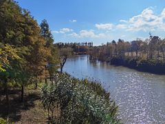 -上海长兴岛郊野公园