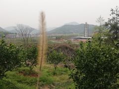 -小芝红树林