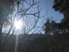 -香山公园-东宫门售票处
