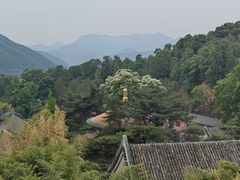 -潭柘寺景区