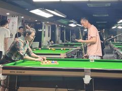 -新新潘晓婷台球俱乐部(周浦店)