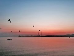 -莫内艺术岛海景咖啡