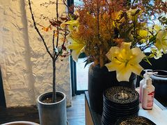 -Apollo·西班牙小酒馆(安福路店)