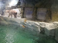 -临沂极地海洋王国