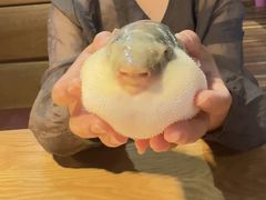 -永安鱼庄·镇江菜(丁卯店)