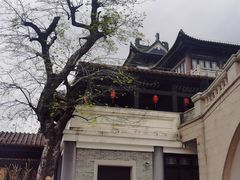 -荔湾湖公园