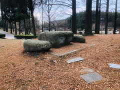 -四明山国家森林公园