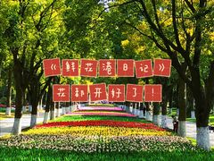 -上海鲜花港