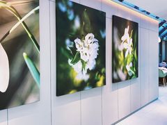 -奈雪的茶(赛格店)