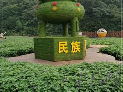 -广州市石门国家森林公园
