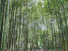 -成都杜甫草堂博物馆
