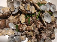 -北方饺子王·海肠捞饭·海鲜锅(山大店)