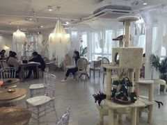 大堂-共舞时光猫咖·狗咖(新街口店)