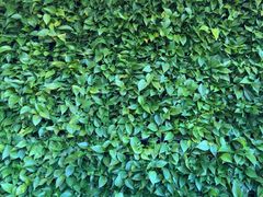 -蔚来中心(北京中关村店)