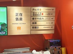 -野人先生现做冰淇淋(北京王府井东方新天地店)