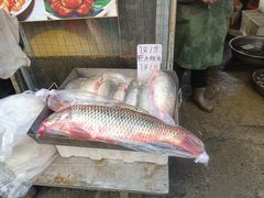 -大连双兴商品城