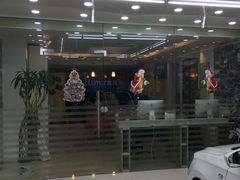 -车艺佳龙膜隐形车衣汽车贴膜(宝山丰宝店)