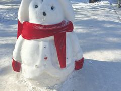 -长春市南湖公园