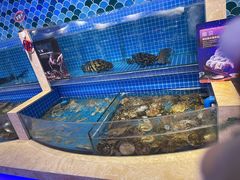 水产区-乔哥铭洋海鲜自助(皇城恒隆广场店)