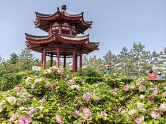 -大慈恩寺(大雁塔)
