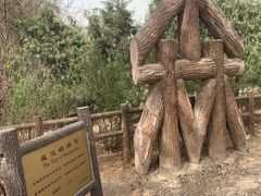 -北京麋鹿生态实验中心