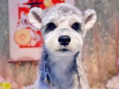 -宠Ta宠物生活馆(济宁任城区)