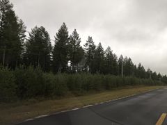 -塞罕坝国家级自然保护区