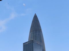 -华润深圳湾体育中心-“春茧” 体育馆