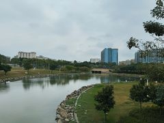 -宝安西湾红树林湿地公园