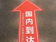 -东营胜利机场