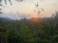 -万兴启丰椰子文化园餐厅