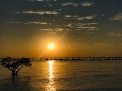 -宝安西湾红树林湿地公园