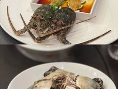 干蒸甲鱼-江滨九号.中餐厅(滨江店)