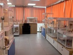 -翊宠yipet猫狗购宠庄园犬舍•猫舍