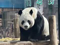 -栾川竹海野生动物园