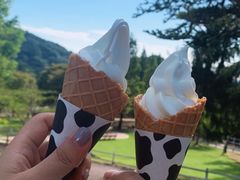 -神户市立六甲山牧场