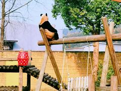 -杭州野生动物世界