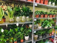 -大润发(王庄店)