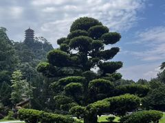 -缙云山景区