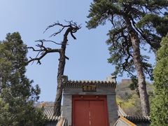 -妙峰山风景名胜区