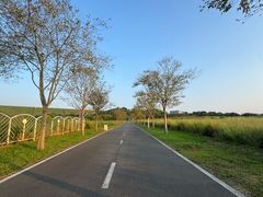-光明小镇欢乐田园