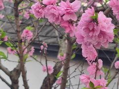 -乌山风景区