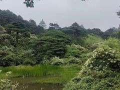 -三清山风景名胜区