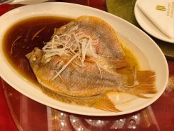 -新锦江大酒店·宴会厅·婚宴