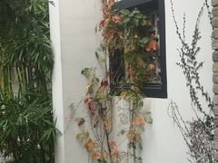 -健眺小海鲜(临海后山店)